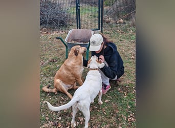 Liebevolle ANGELA sucht Familie ❤️