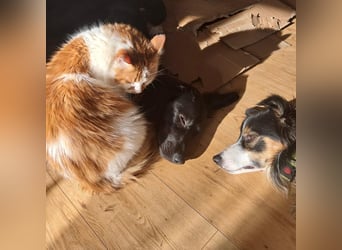 Sportliche Rosie sucht ihr Glück ❤️