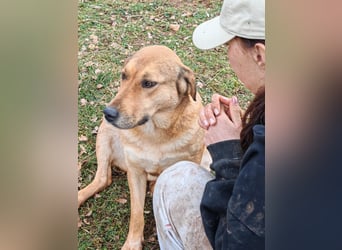 Liebevolle ANGELA sucht Familie ❤️