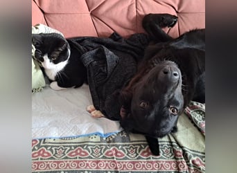 Sportliche Rosie sucht ihr Glück ❤️