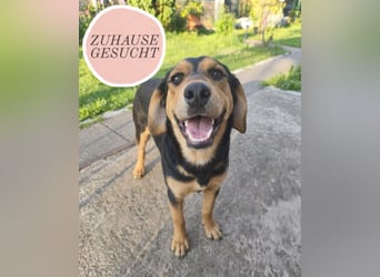 MAGI sucht ihr forever Home ❤️