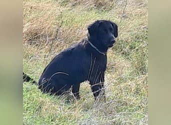 Sportliche Rosie sucht ihr Glück ❤️