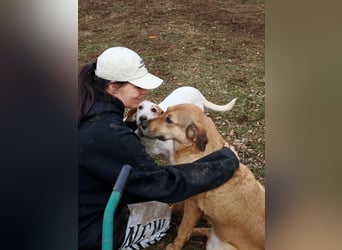 Liebevolle ANGELA sucht Familie ❤️