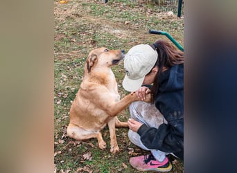 Liebevolle ANGELA sucht Familie ❤️