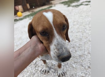 Venezia sucht ihre Herzmenschen ❤️