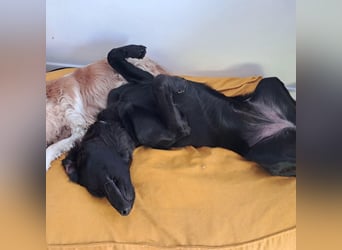 Sportliche Rosie sucht ihr Glück ❤️