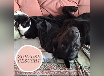 Sportliche Rosie sucht ihr Glück ❤️