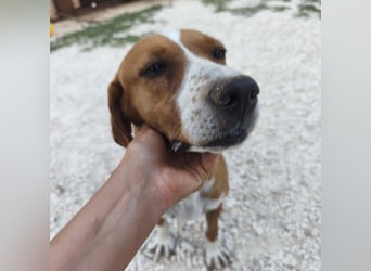 Venezia sucht ihre Herzmenschen ❤️