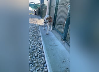 Liebevolle Sunny sucht ihr Glück ❤️