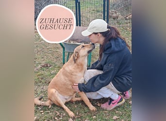 Liebevolle ANGELA sucht Familie ❤️