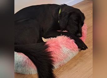 Sportliche Rosie sucht ihr Glück ❤️