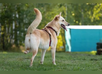 Besondere Lissy sucht ihre Menschen