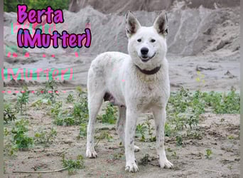 Ulli geb. 03/2025 - fröhliches und neugieriges Mädchen!