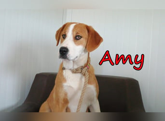 Amy geb. 11/2025 (GRC) - soziale + glückliche Maus sucht ihre eigene Familie!