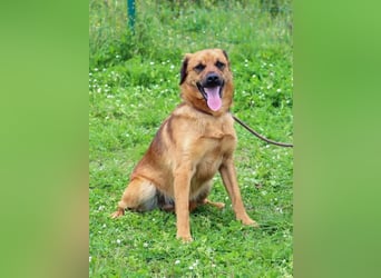 Caju – sensibel und liebevoll