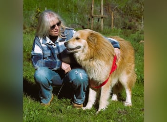 Rolex – anhänglich und aufgeschlossen