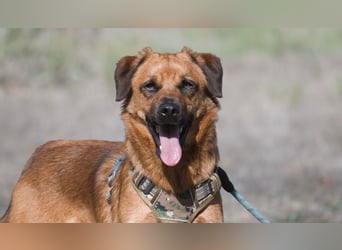 Caju – sensibel und liebevoll