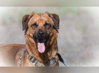 Caju – sensibel und liebevoll