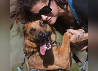 Caju – sensibel und liebevoll