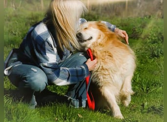 Rolex – anhänglich und aufgeschlossen