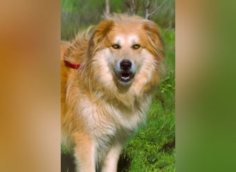 Rolex – anhänglich und aufgeschlossen