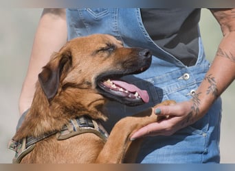 Caju – sensibel und liebevoll