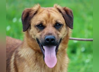 Caju – sensibel und liebevoll