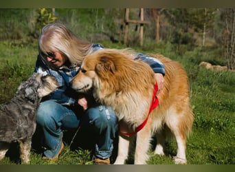 Rolex – anhänglich und aufgeschlossen