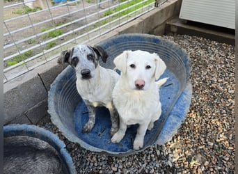 Clarita: freut sich auf Besuch in Schermbeck