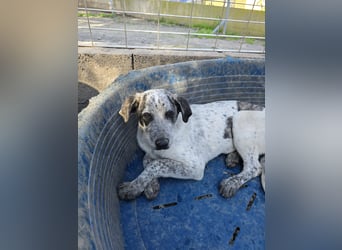 Clarita: freut sich auf Besuch in Schermbeck