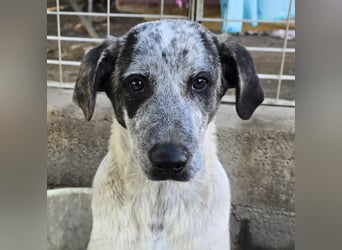 Clarita: freut sich auf Besuch in Schermbeck