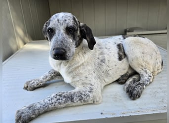 Clarita: freut sich auf Besuch in Schermbeck