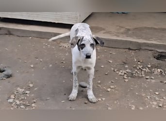 Clarita: freut sich auf Besuch in Schermbeck