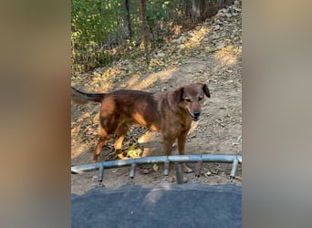 OSCAR sucht ein ruhiges Plätzchen für seinen Lebensabend - vielleicht bei dir?