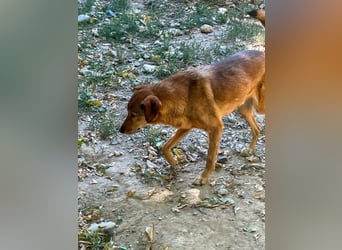 OSCAR sucht ein ruhiges Plätzchen für seinen Lebensabend - vielleicht bei dir?