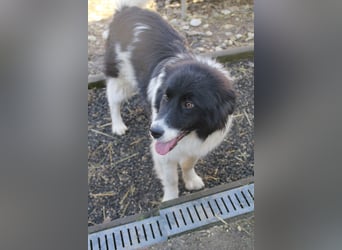 Fröhlicher LEDO will endlich mit seiner eigenen Familie durchstarten