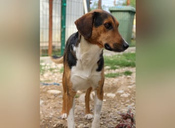 Frechdachs ZLAJA sucht Familie zum Toben, Spielen und Spaßhaben :)