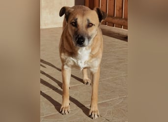 Olga - braucht eine Chance!