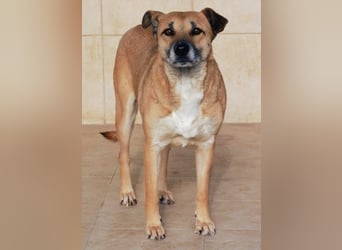 Olga - braucht eine Chance!