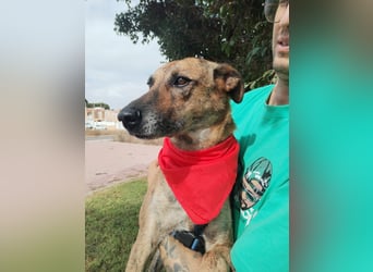 LOLA mag es sportlich