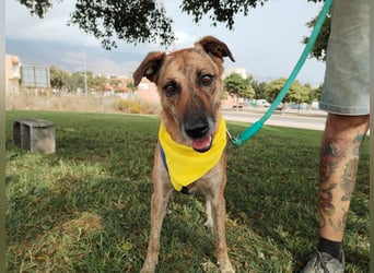 LOLA mag es sportlich