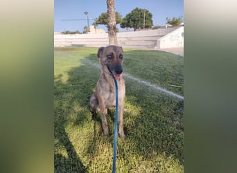 LOLA mag es sportlich