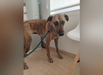 LOLA mag es sportlich