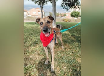 LOLA mag es sportlich