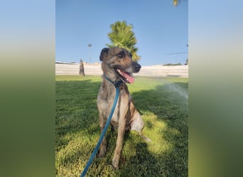 LOLA mag es sportlich