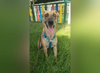 LOLA mag es sportlich