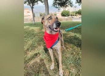 LOLA mag es sportlich