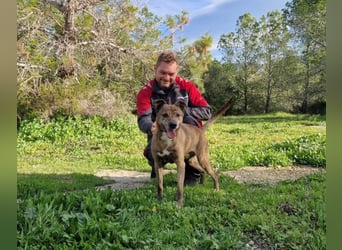 BORI - perfekt für Anfänger
