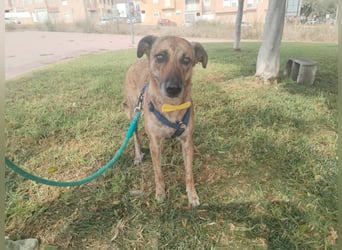 LOLA mag es sportlich