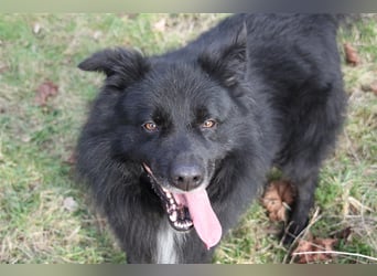 Balou wartet schon so lange...